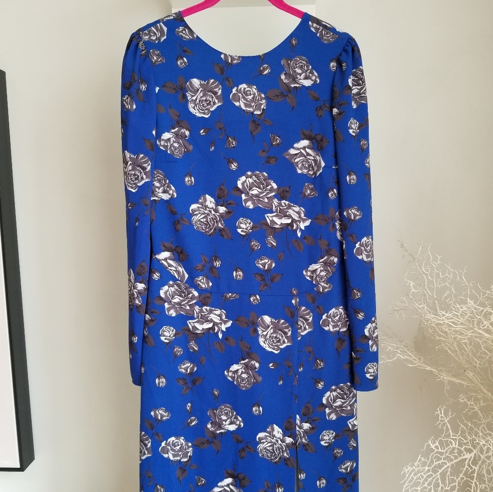 RED Valentino $1389 Floral Print Dress - Picture 6 of 15